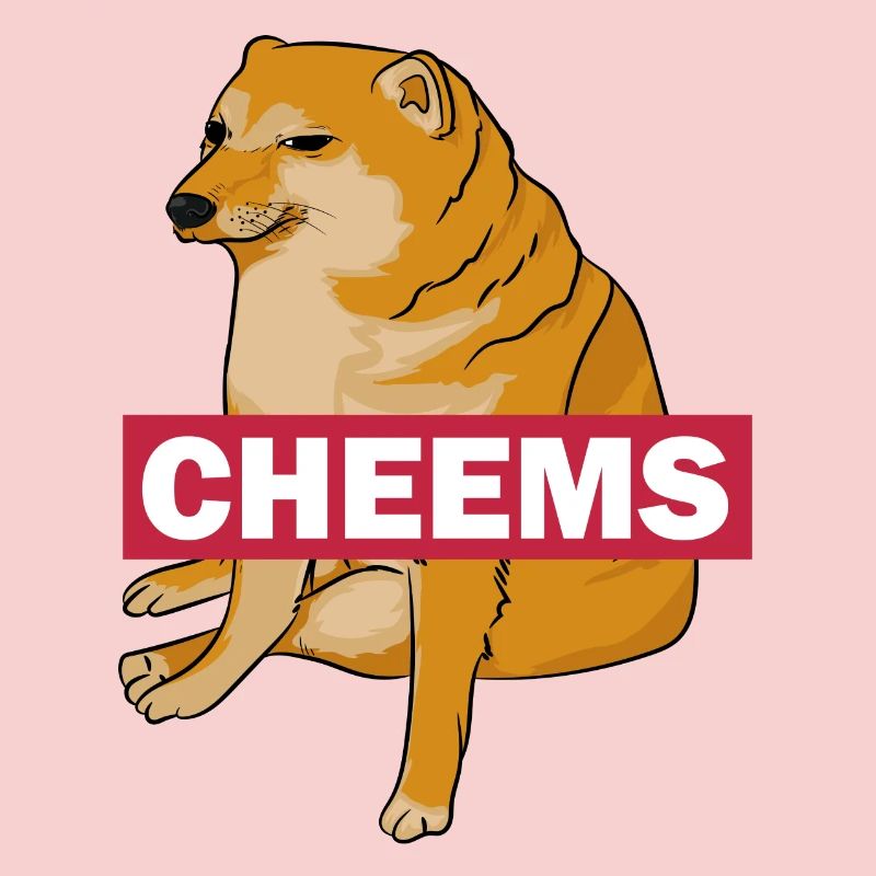 Meme Hund Cheems