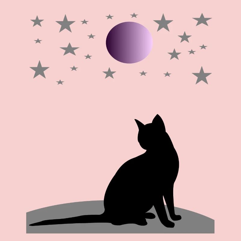 Ciel étoilé avec lune et chat