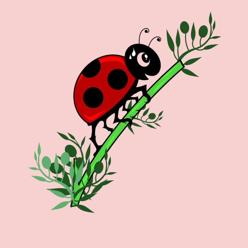 Ladybug botany