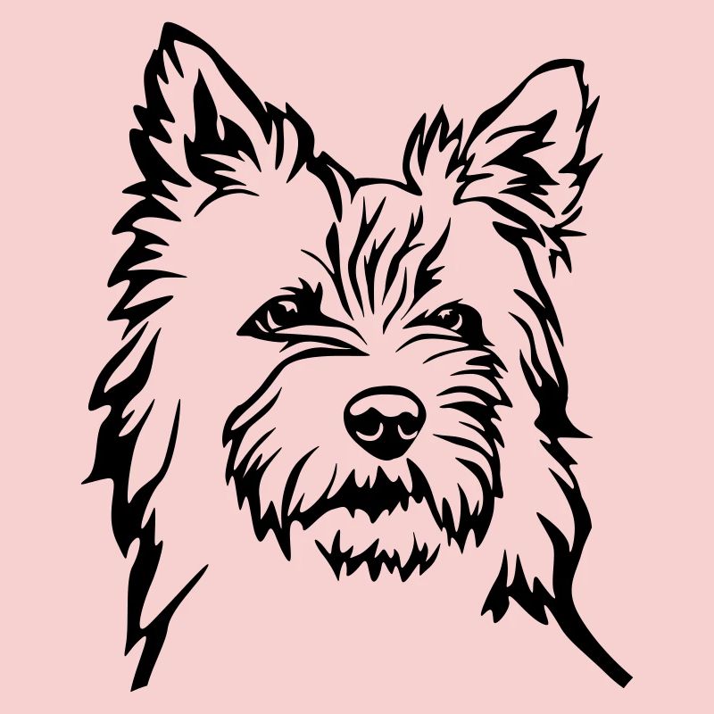 Cairn Terrier