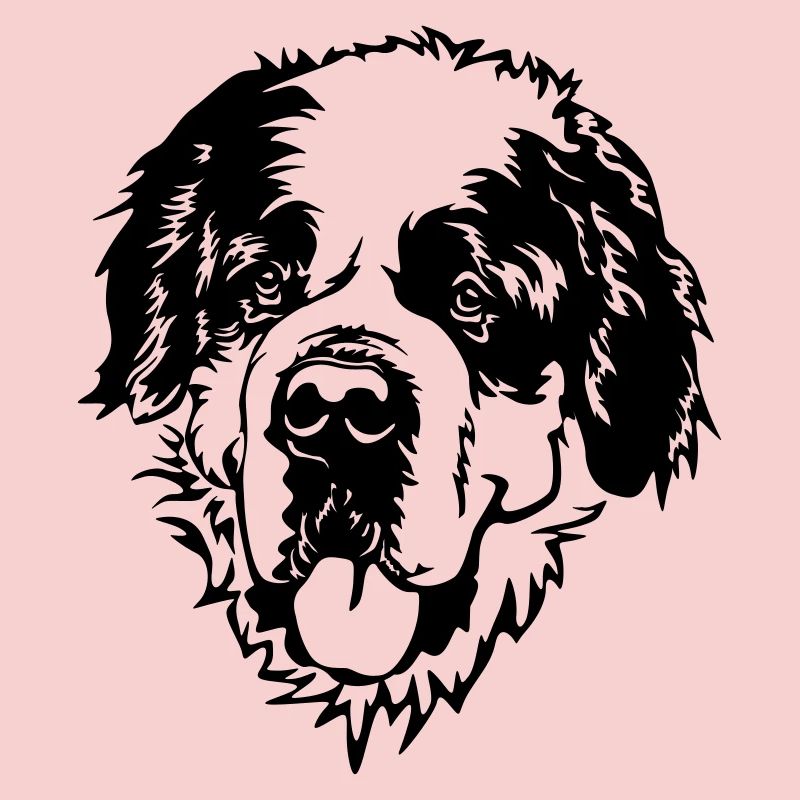 St. Bernard's Head