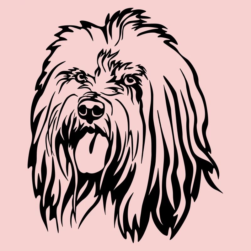 Tête de terrier tibétain