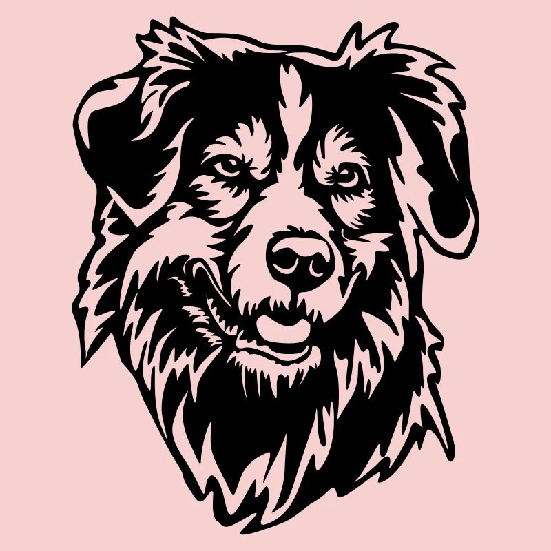 Australian Shepherd Kopf