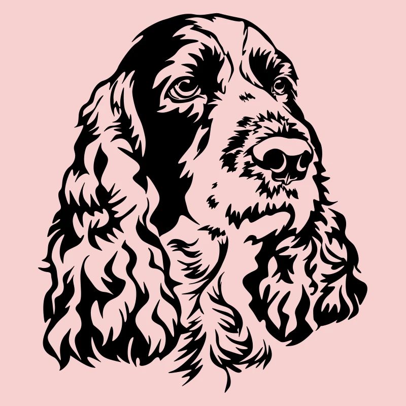 Englischer Springer Spaniel Kopf