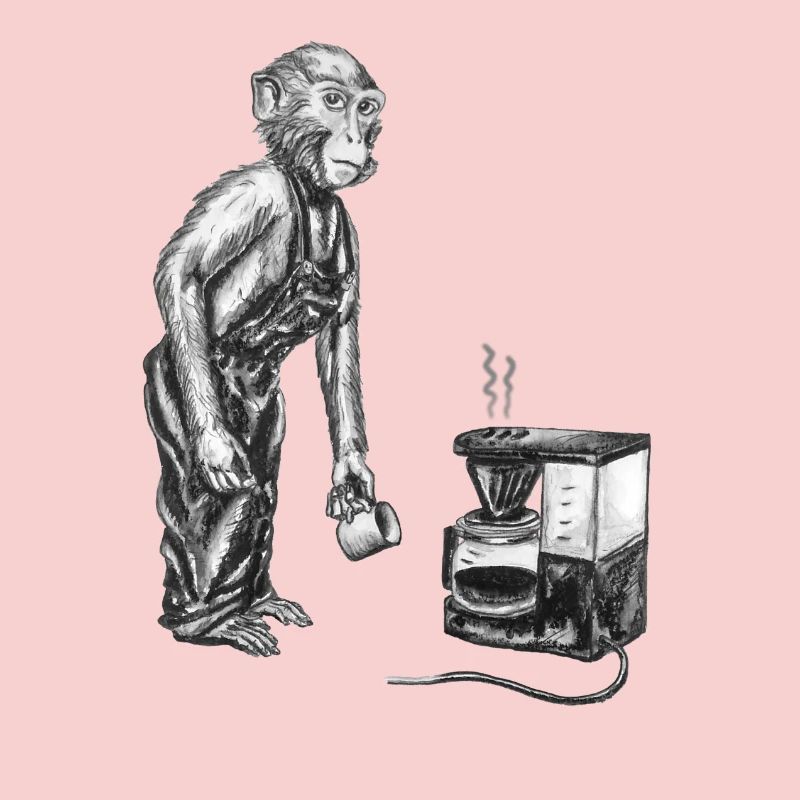 Monkey and coffee