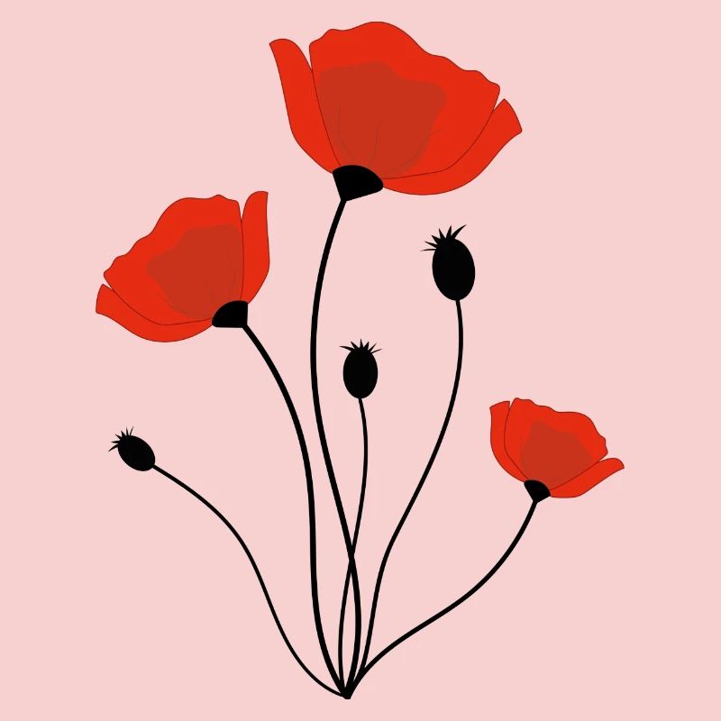 Mohnblume