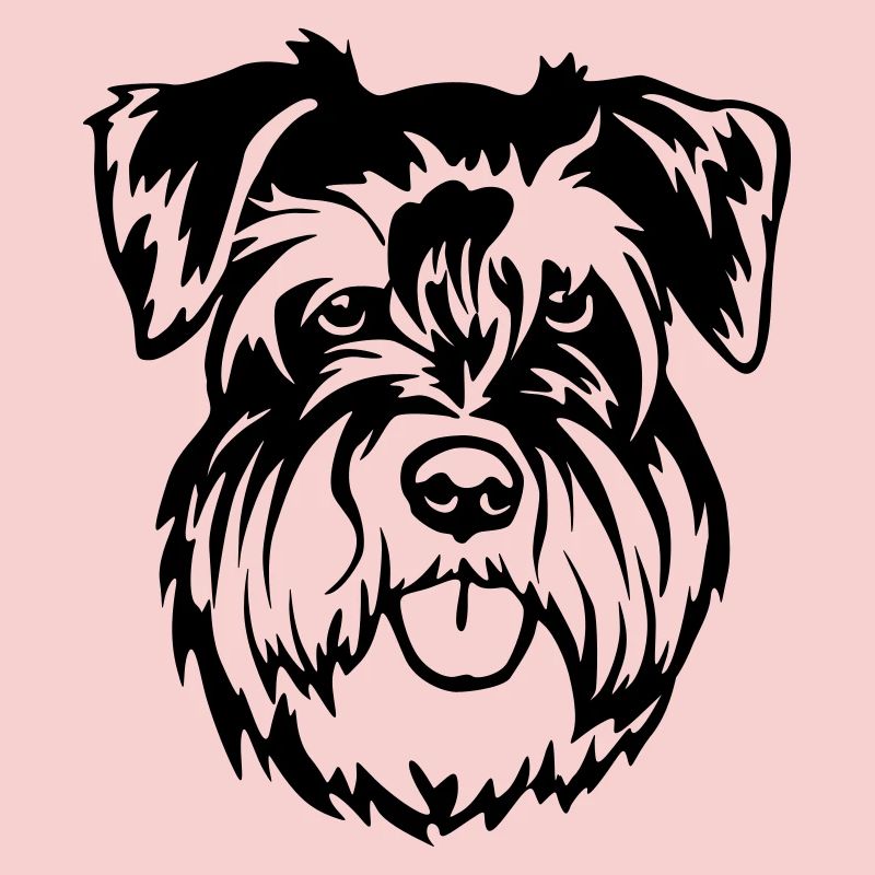 Miniature Schnauzer Head