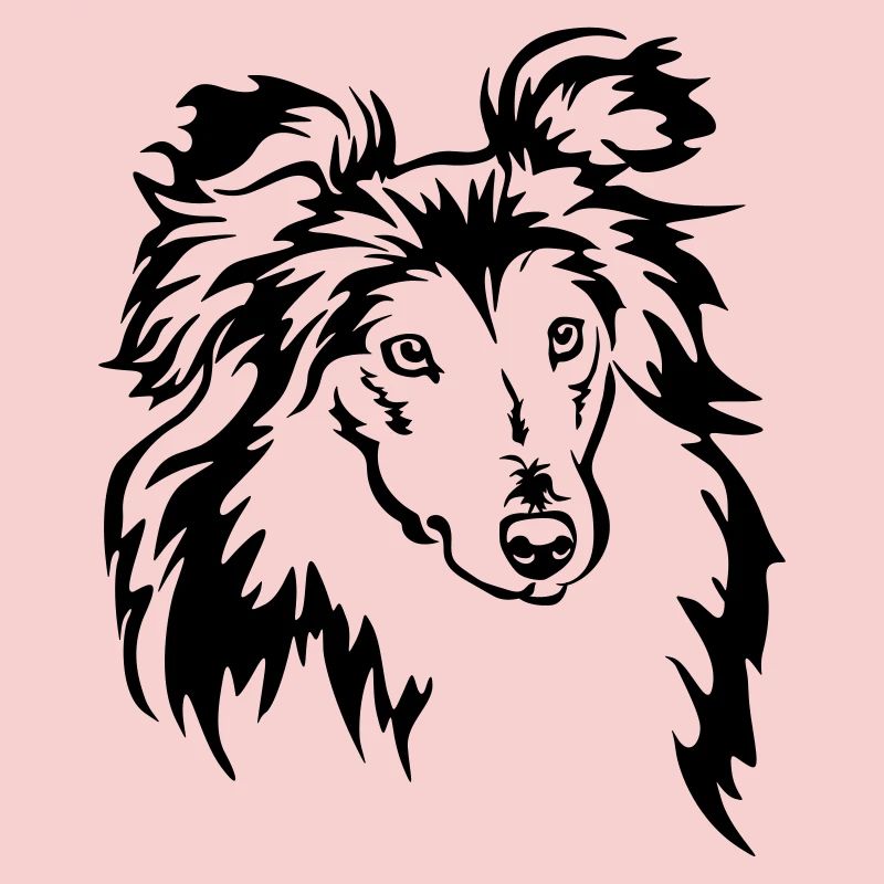Sheltie Kopf