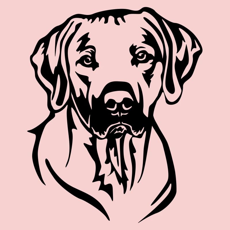 Rhodesian Ridgeback Kopf