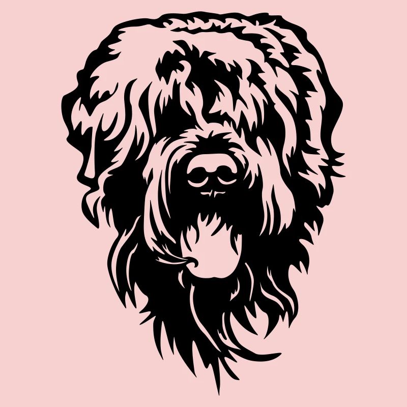 Russian Terrier Head