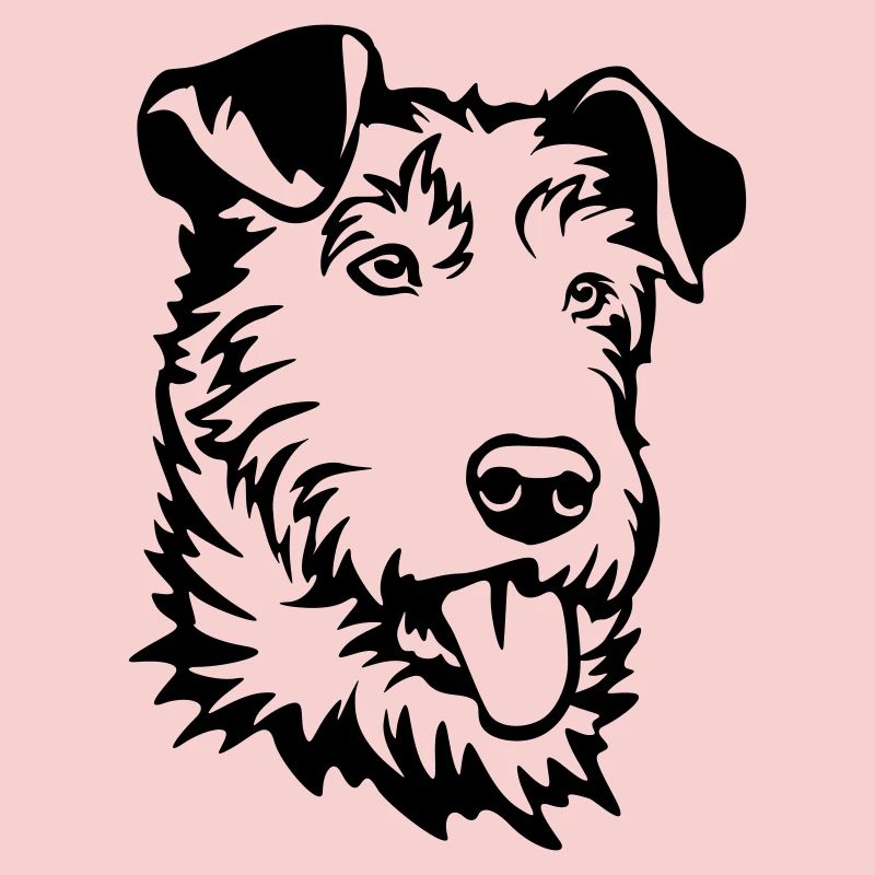 Irish Terrier Head