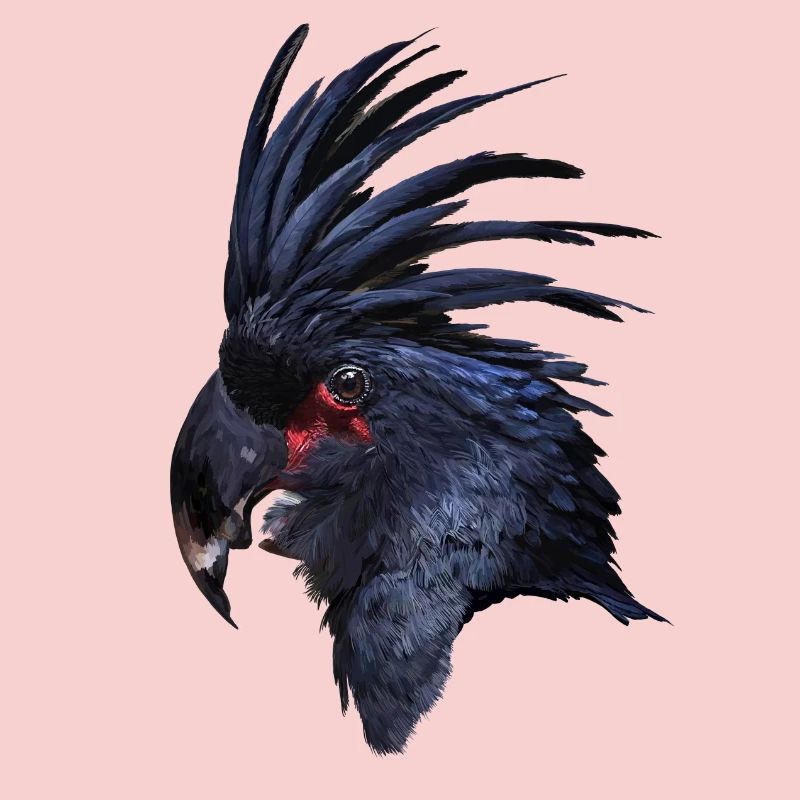 Parrot