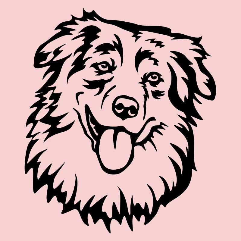 Australian Shepherd Head