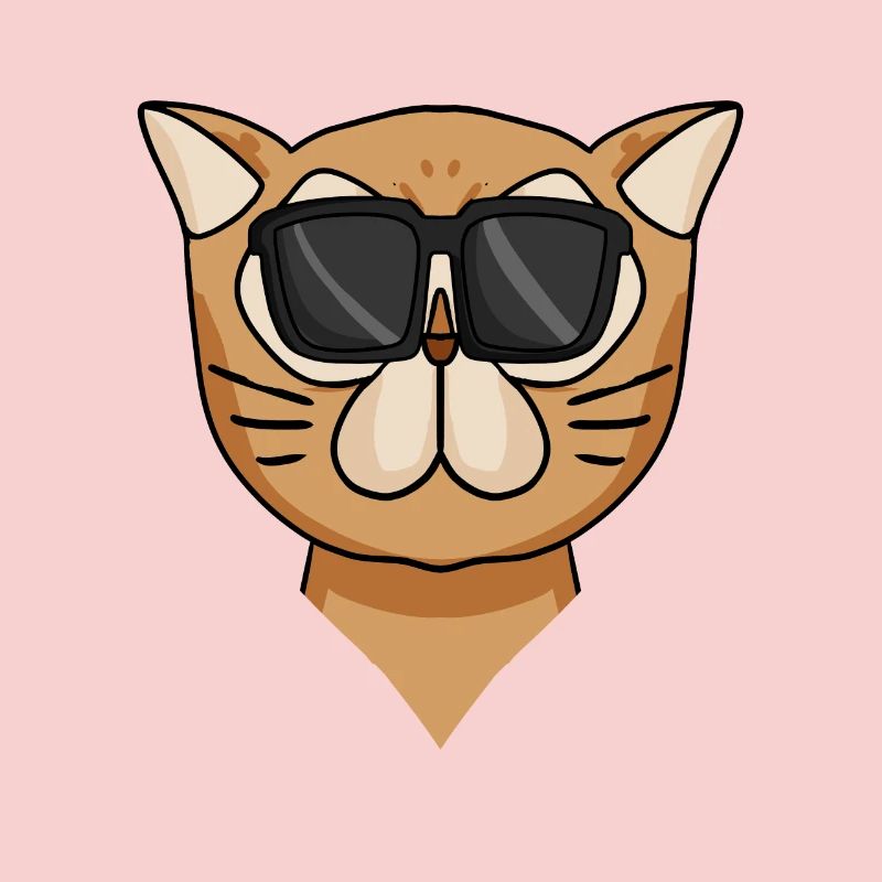 Cool Chat Persan Chat Race Chat