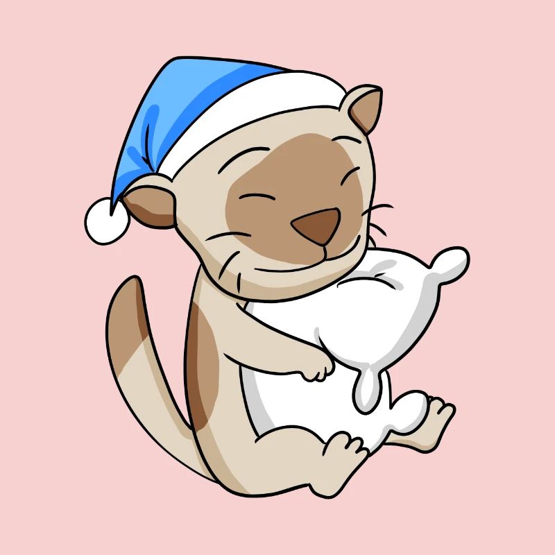Chat Cat Race Chat Birman