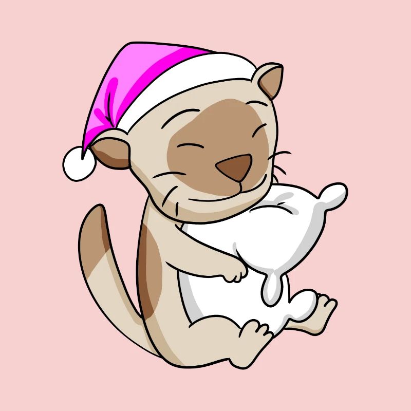 Chat Cat Race Chat Birman