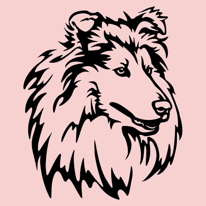 Collie Kopf