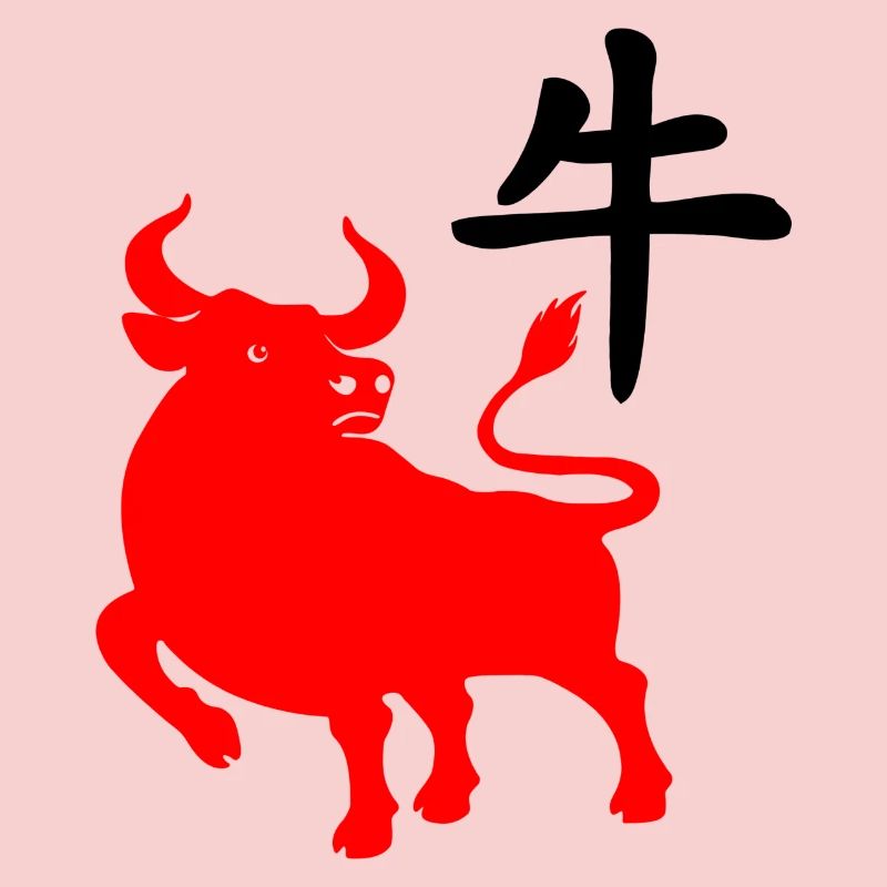 Caractère chinois rouge os avec image du système d’exploitation