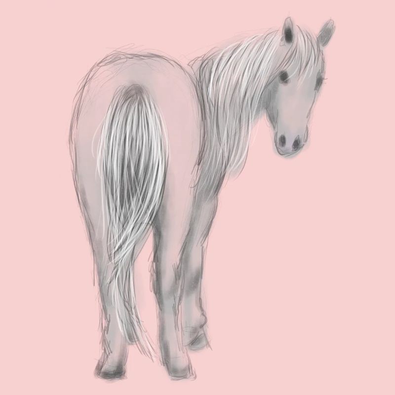 Cheval