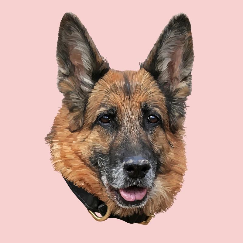 Schäferhund