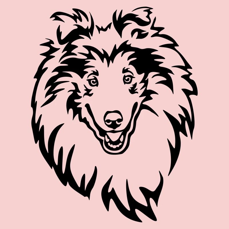 Collie Head