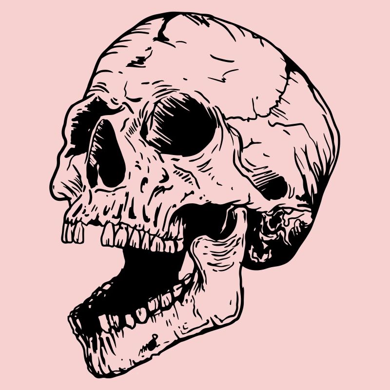 Crâne
