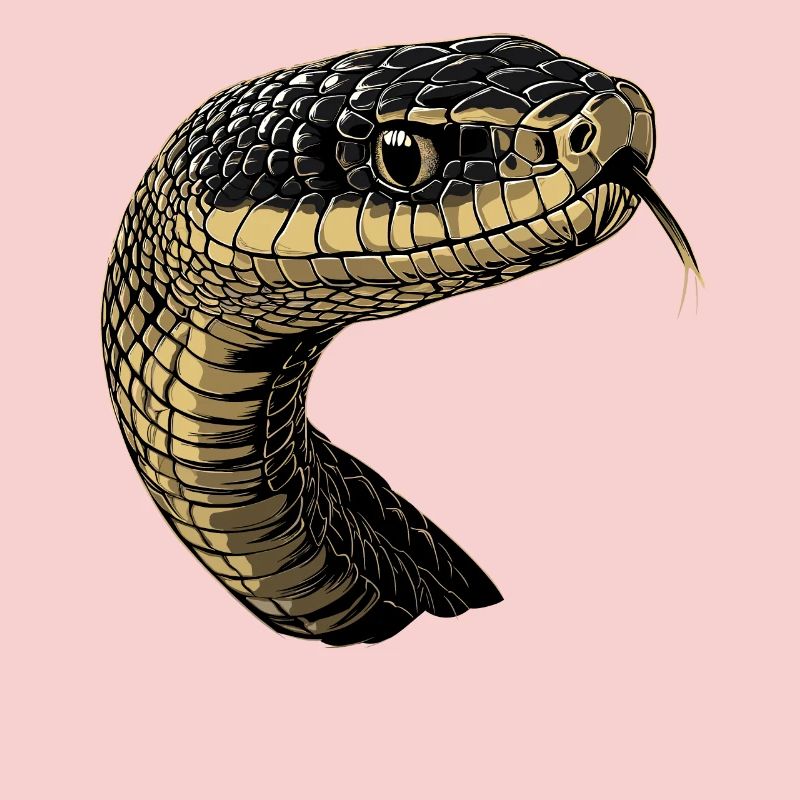 Serpent Python Cobra Mamba Serpent à sonnettes Serpent