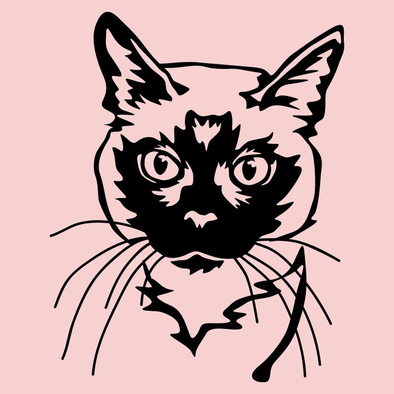 Siamese cat