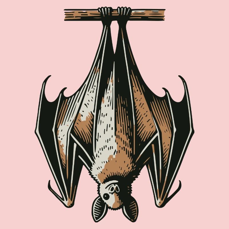 Fledermaus