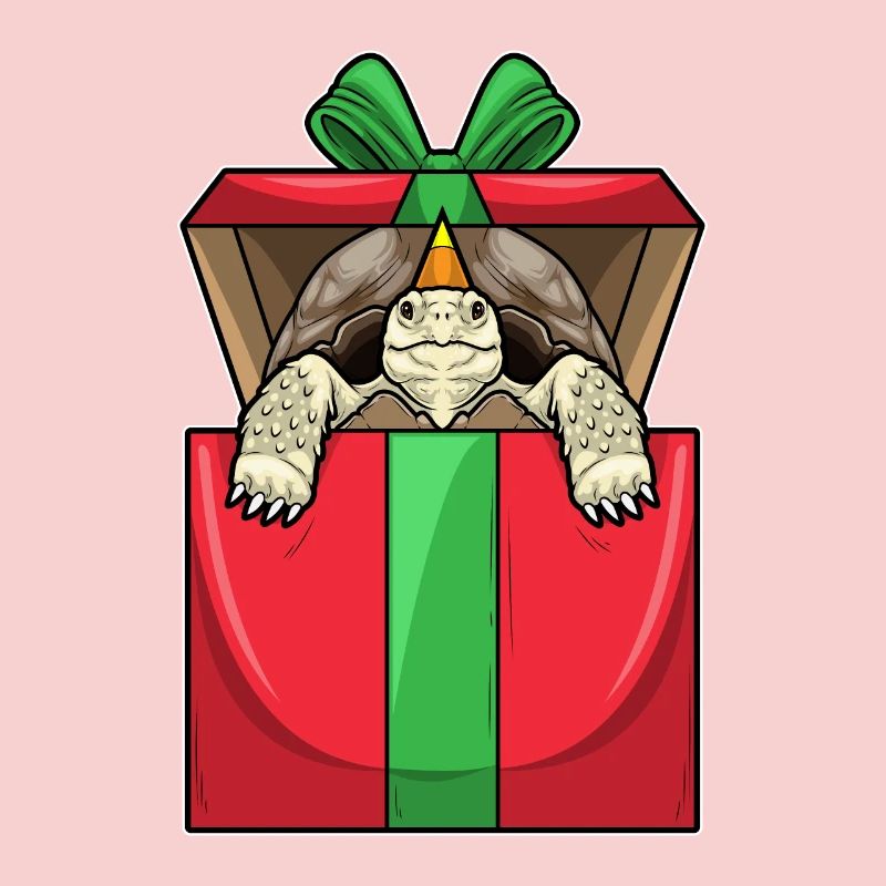 Turtle Birthday Package
