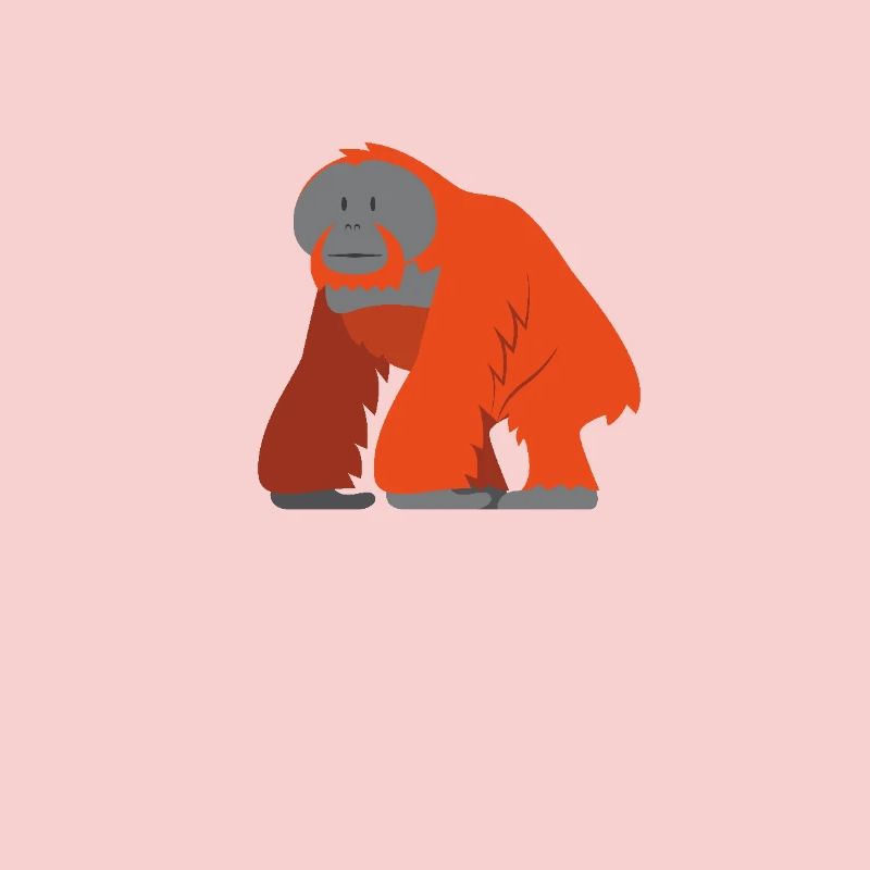 The Wise Orangutan