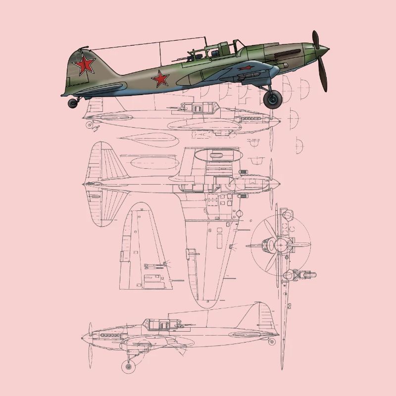 IL-2