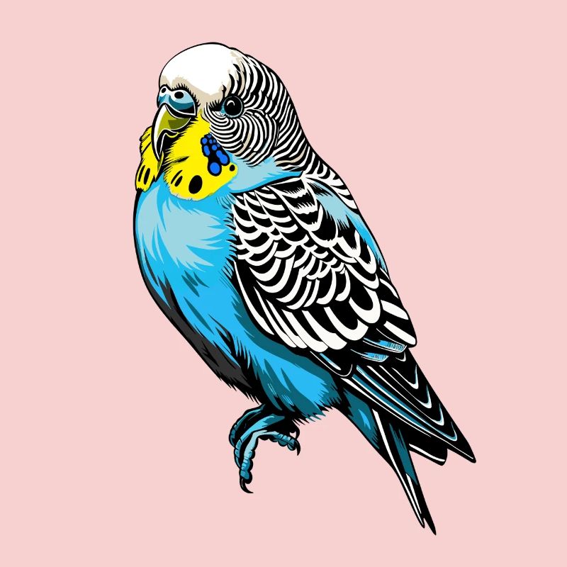 Conception vectorielle de perruche colorée