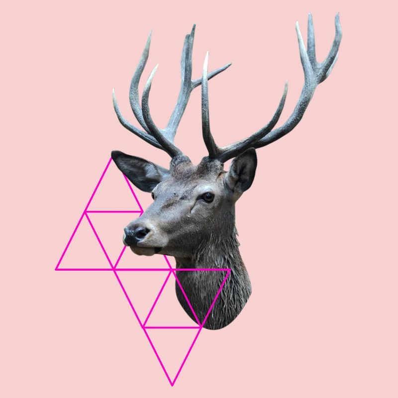 Hipster Deer