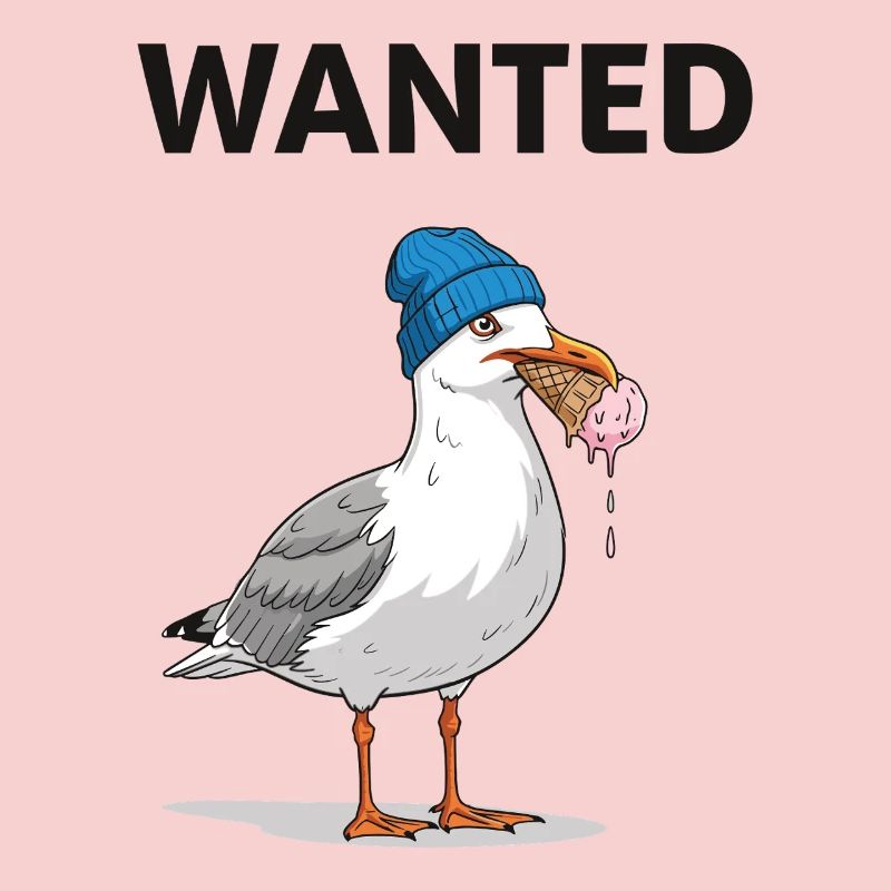 Gesucht Möwe Eiscreme Abenteuer