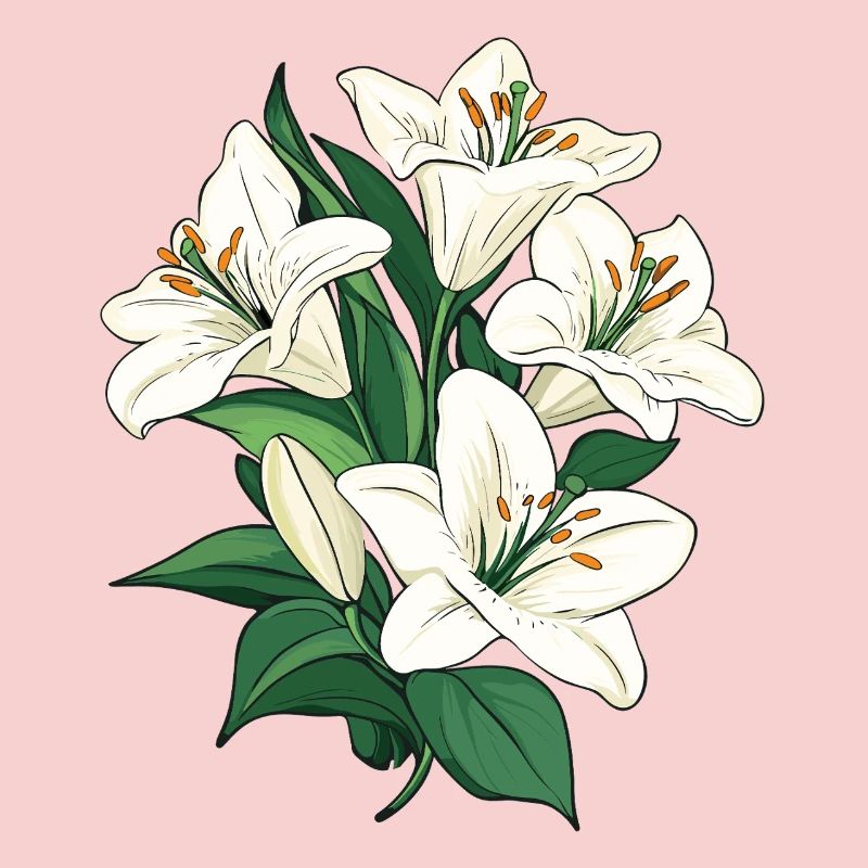Lilies white illustration graphic