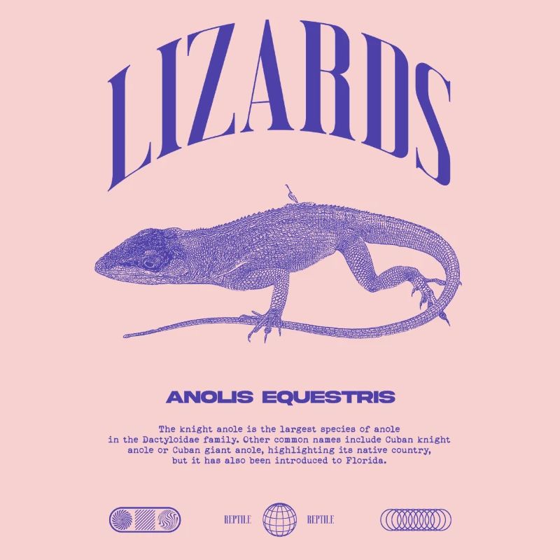 Cuban Knight Anole Reptile Keeper Lizard