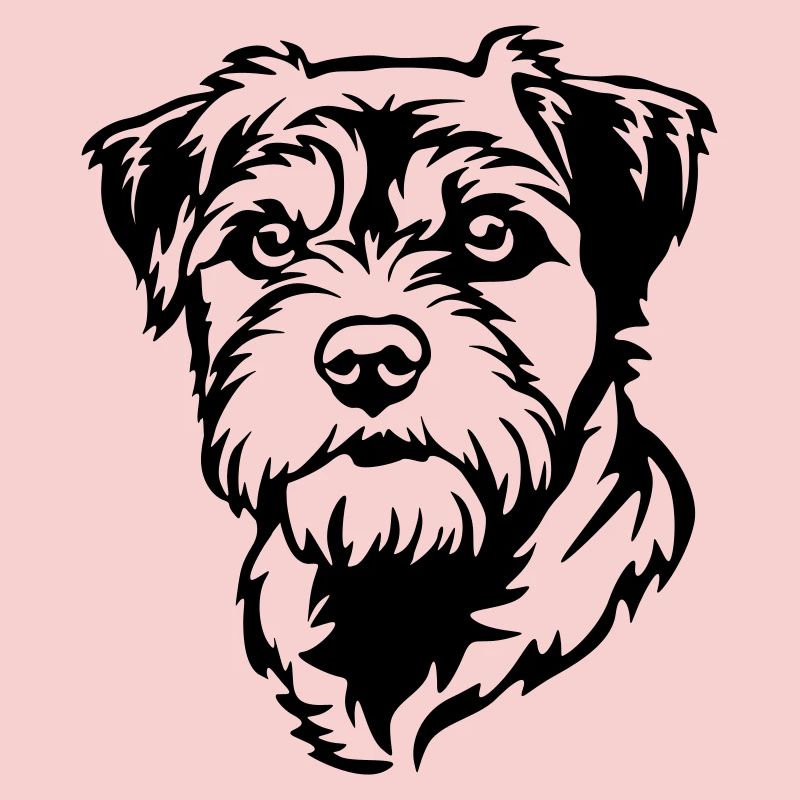 Border Terrier Head