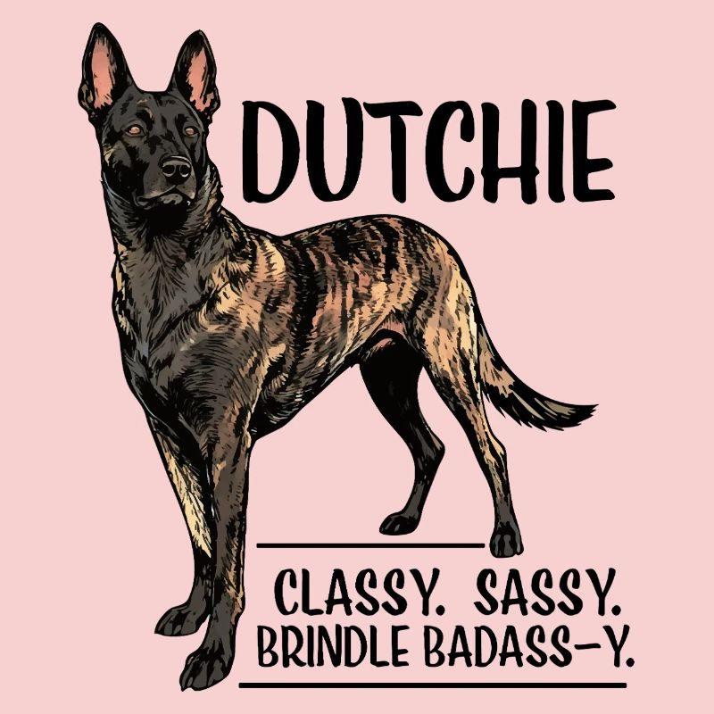Dutchie - Holländischer Schäferhund