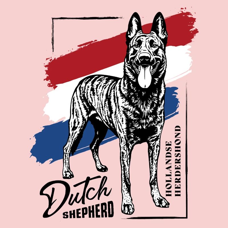 Dutch Shepherd - Dutchie 