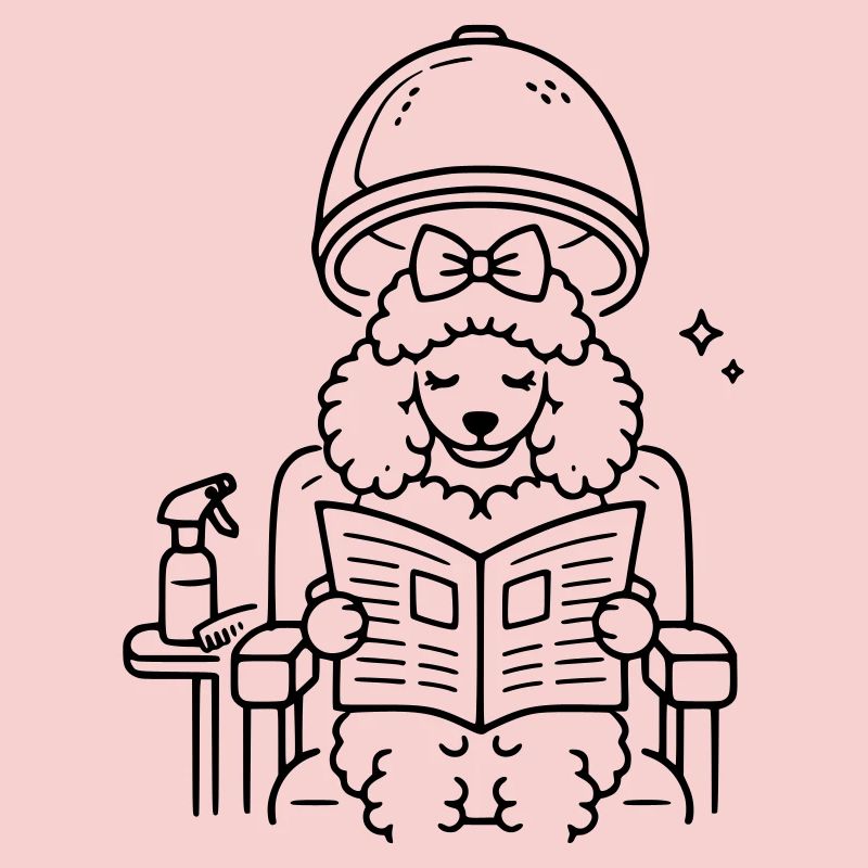 Caniche chez le coiffeur