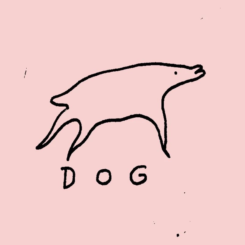 Chien