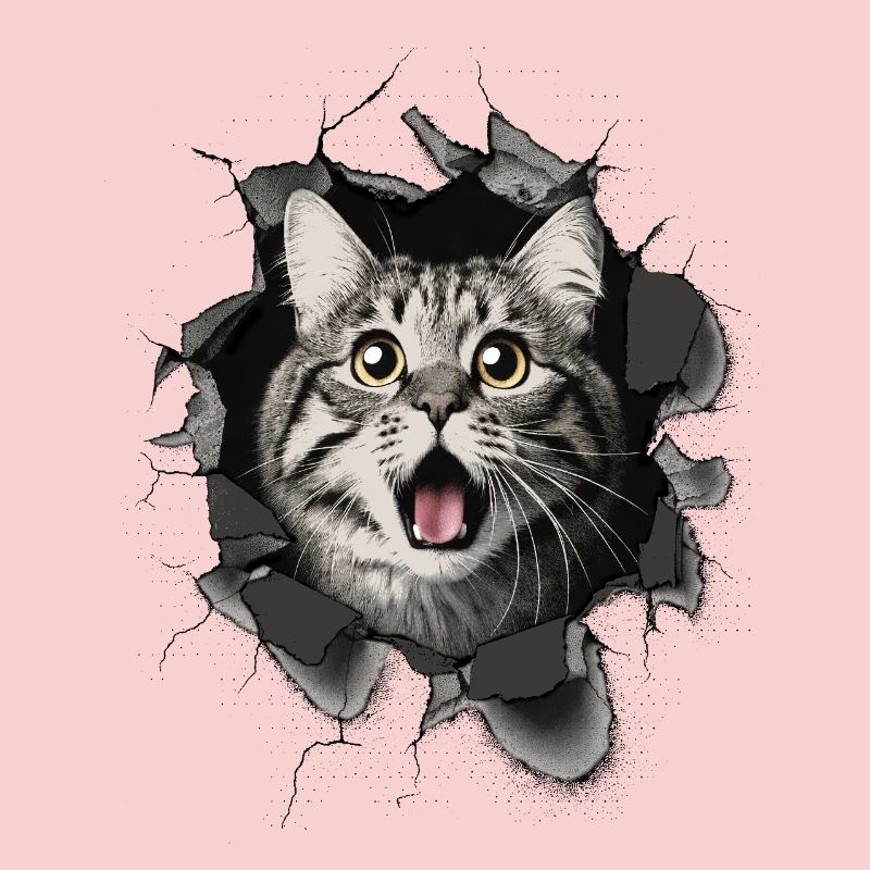 Cat Scared Wall Breakthrough Cracks