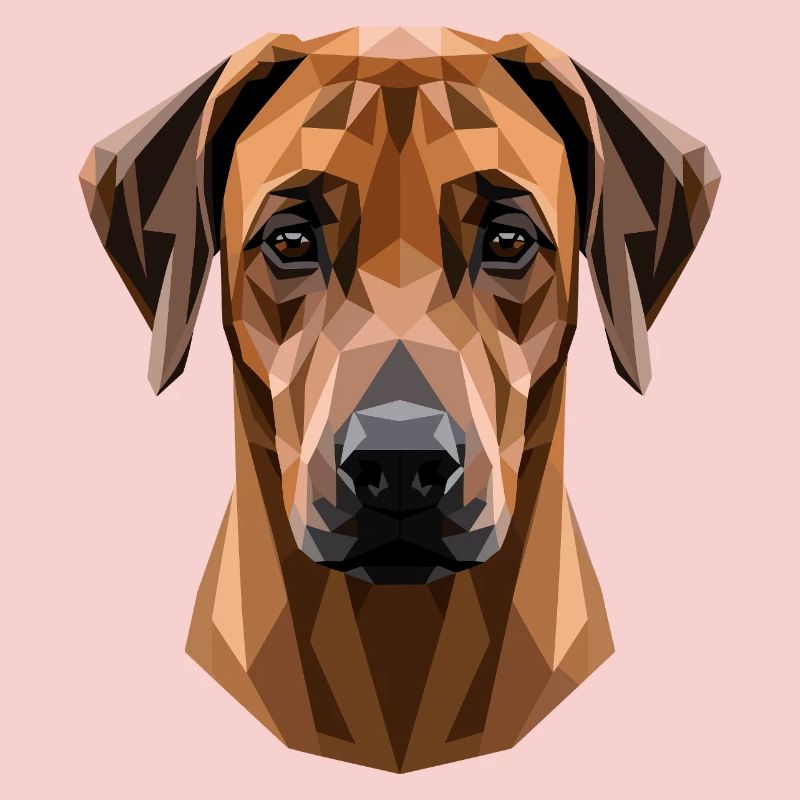 Rhodesian Ridgeback Jagdhund Hunde Stolz Ridgeback