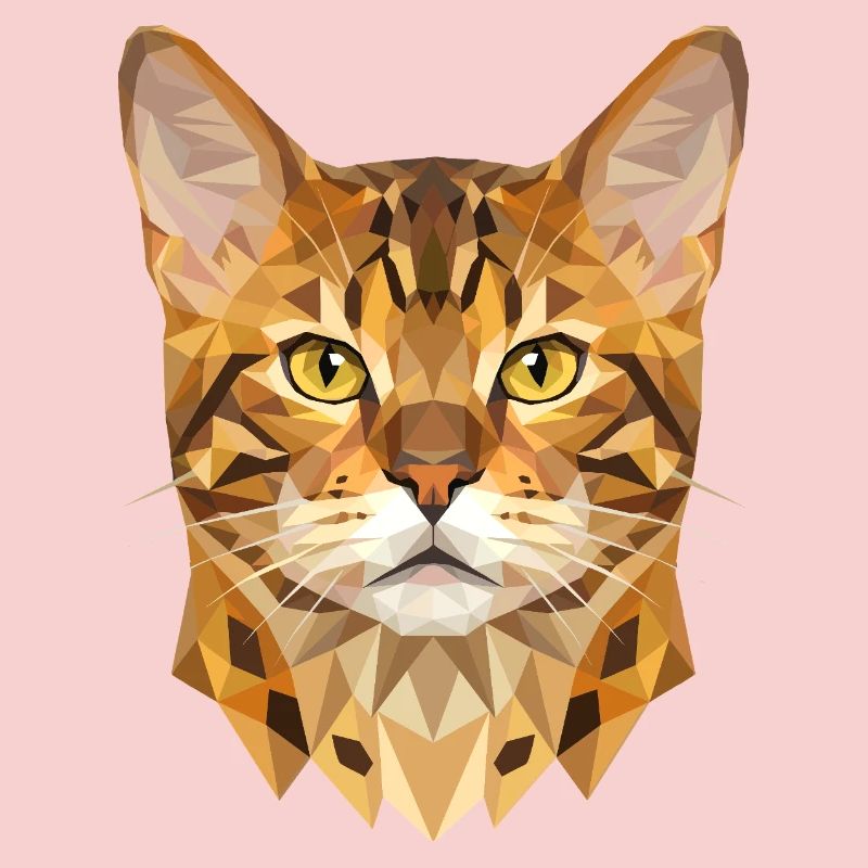 Chat léopard du Bengale, chat léopard, léopardette, chats du Bengale,