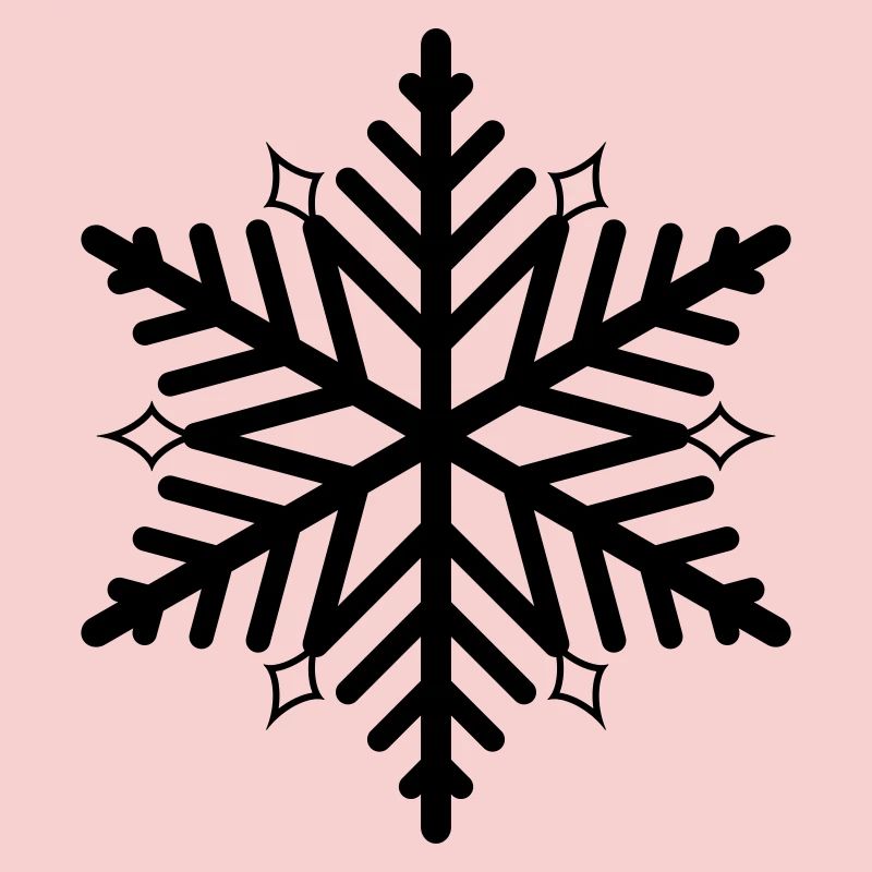 Flocon de neige flocon de neige