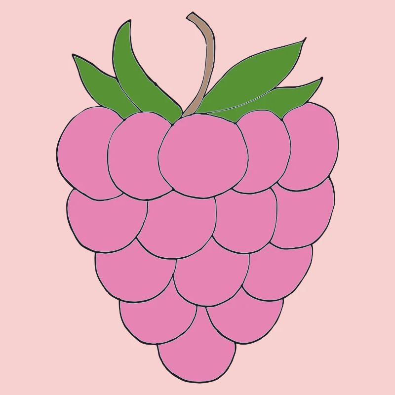 Pink Raspberry Illustration