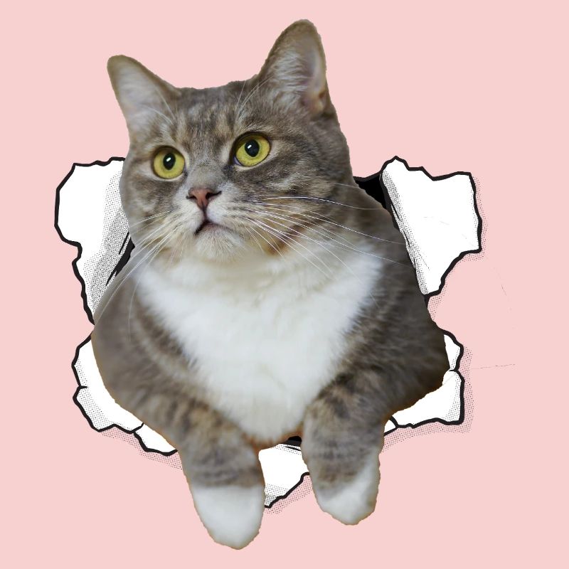 Chat mignon qui sort du trou - Dessin drôle de chat
