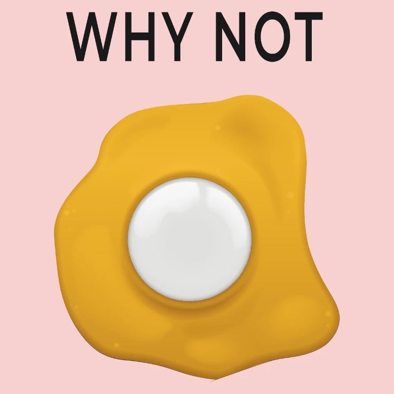 Why Not  Spiegelei neu denken