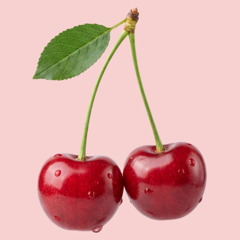 Kirsche Kirschen Cherry Shirt, sweat à capuche, short